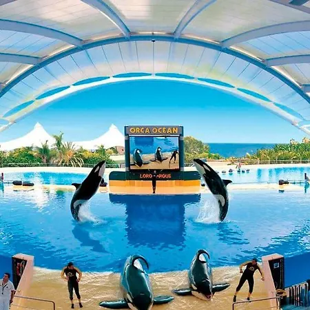 Tropical Park - 3 Piscinas - Parking - Golf Del Sur サンミゲル・デ・アボナ